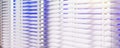 Panoramic view of White Venetian blinds with sunlight