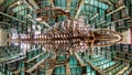 A panoramic view of a white whale skeleton hanging from the ceiling of the Biblioteca Vasconcelos in Mexico City