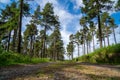 Panoramic view of Wicklow Mountains.valley. This place is famous for uncontamined nature, misty landscapes, and lakes Royalty Free Stock Photo