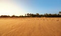 Panoramic view of a wide empty tropical beach at sunset, Sri Lanka