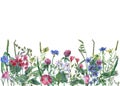 Panoramic view of wild meadow flowers and grass on white background.