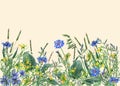 Panoramic view of wild meadow flowers and grass on yellow background.