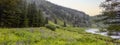 Panoramic view of Wildflower meadow in Colorado Royalty Free Stock Photo