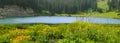 Panoramic view of wildflower meadow by Emerald lake in Colorado rocky mountains Royalty Free Stock Photo