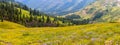 Wildflower meadows in Colorado rocky mountains near Crested Butte Royalty Free Stock Photo