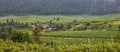 Panoramic view of winery near Leavenworth,Washington Royalty Free Stock Photo