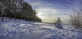 Panoramic view of winter landscape. Covered in snow trees against dramatic evening light. Snowy Baltic sea coast Royalty Free Stock Photo