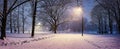 Panoramic view of winter landscape in park with snowy trees and shining lights during snowstorm Royalty Free Stock Photo