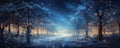 Panoramic view of winter woods at Christmas night, dreamy landscape with magical lights, snow and starry sky. Fairy tale forest.