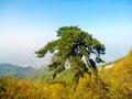 Panoramic view of Wutai Mountain and Dongshan mountain in Shaanxi, China.