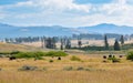 Yellowstone National Park landscape. Prairie with a herd of american bison. Royalty Free Stock Photo