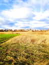 Panoramic view of young wheet shoots on big green field against blue sky. Plowed agricultural field ready for seed