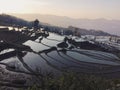 Panoramic view of Yuanyang rice terraces at the sunset Royalty Free Stock Photo