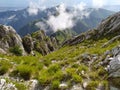 Panoramic viewpoint in the nature of the woods and mountains of the Apuan Alps