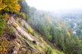 Panoramic viewpont of the forest draped in fog Royalty Free Stock Photo