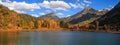 Aspen trees at foot hill by the lake in autumn time Royalty Free Stock Photo