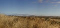 panoramic views of dry grassy drought stricken farm Royalty Free Stock Photo