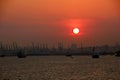 Panoramic views of the port and the city of Singapore during day and night. Kind of cargo and merchant vessels anchored. Royalty Free Stock Photo