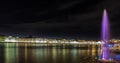 Panoramic views of the river Neva to the University Embankment.