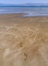 Panoramic views of the sandy beach, the mountains and footprints in the sand at low tide on Liani Ammos beach in Halkida, Greece o Royalty Free Stock Photo