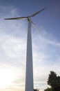 Panoramic views of the wind farm produces electricity from wind power.