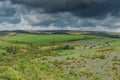 panoramic vista on Holwell Lawn with bluebells Royalty Free Stock Photo