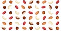 Panoramic walnut pattern, different varieties of nuts - Vector