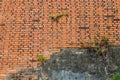 Panoramic Weathered Red Brick Wall with Some Fern Growing and Cracked Concrete Royalty Free Stock Photo