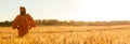 Panoramic web banner African woman in traditional clothes standing with her hands on her hips in field of barley or wheat crops at