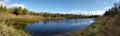 Wetlands in Rouge National Urban Park Royalty Free Stock Photo