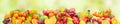 Panoramic wide photo of fresh fruits for skinali on a green back Royalty Free Stock Photo