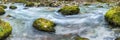 panoramic wild river in deep canyon. Royalty Free Stock Photo