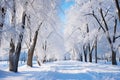 Panoramic Winter Landscape. Serene Road Amidst Frost-Kissed Trees with Breathtaking Views