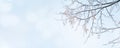 Panoramic Winter nature header background