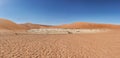 Panoramica of death vley in the desert of Namibia. Sossusvlei.