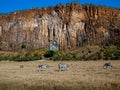 Panoramma canyon with three zebras