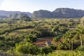 View of fields, mogotes and palms in Vinales Valley, Cuba