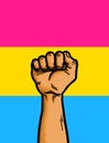 Pansexual Flag Homosexual Equality Hand Raised