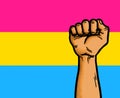 Pansexual Flag Homosexual Equality Rights