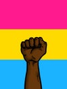 Pansexual Flag Racial Equality Rights