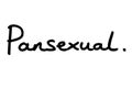 Pansexual Royalty Free Stock Photo