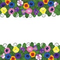 Pansies border