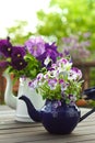 Pansies bouquets copy space background