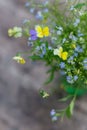 Pansies and forget-me-not flowers bouquet on the rustic wood tab Royalty Free Stock Photo