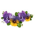 Pansies. Purple summer flowers with green leaves. Watercolor botanical illustration.