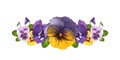 Pansies. Purple and yellow flowers. Horizontal banner. Watercolor illustration on isolated white background.