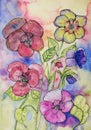 Pansies watercolor doodle.