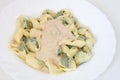 Pansotti with walnut sauce Royalty Free Stock Photo