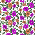 Pansy floral