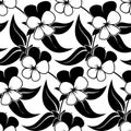 Pansy floral black isolated seamless background